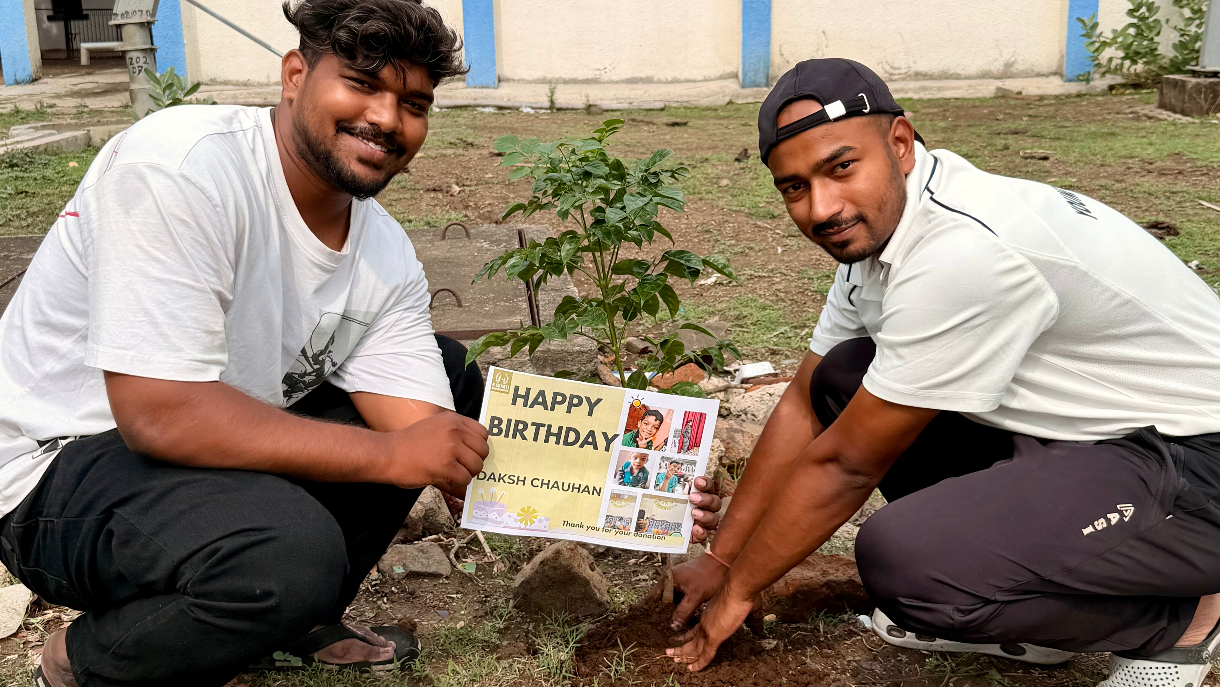 Plant a tree on special occasions
