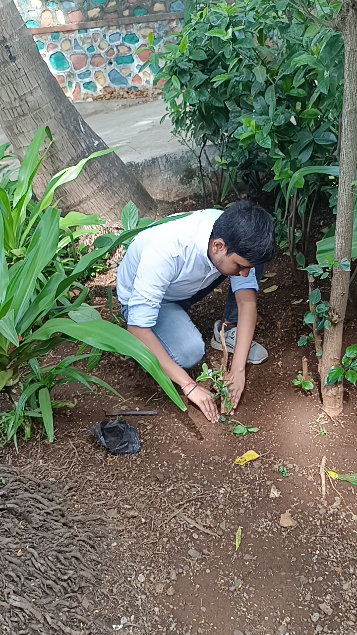 Planting Trees