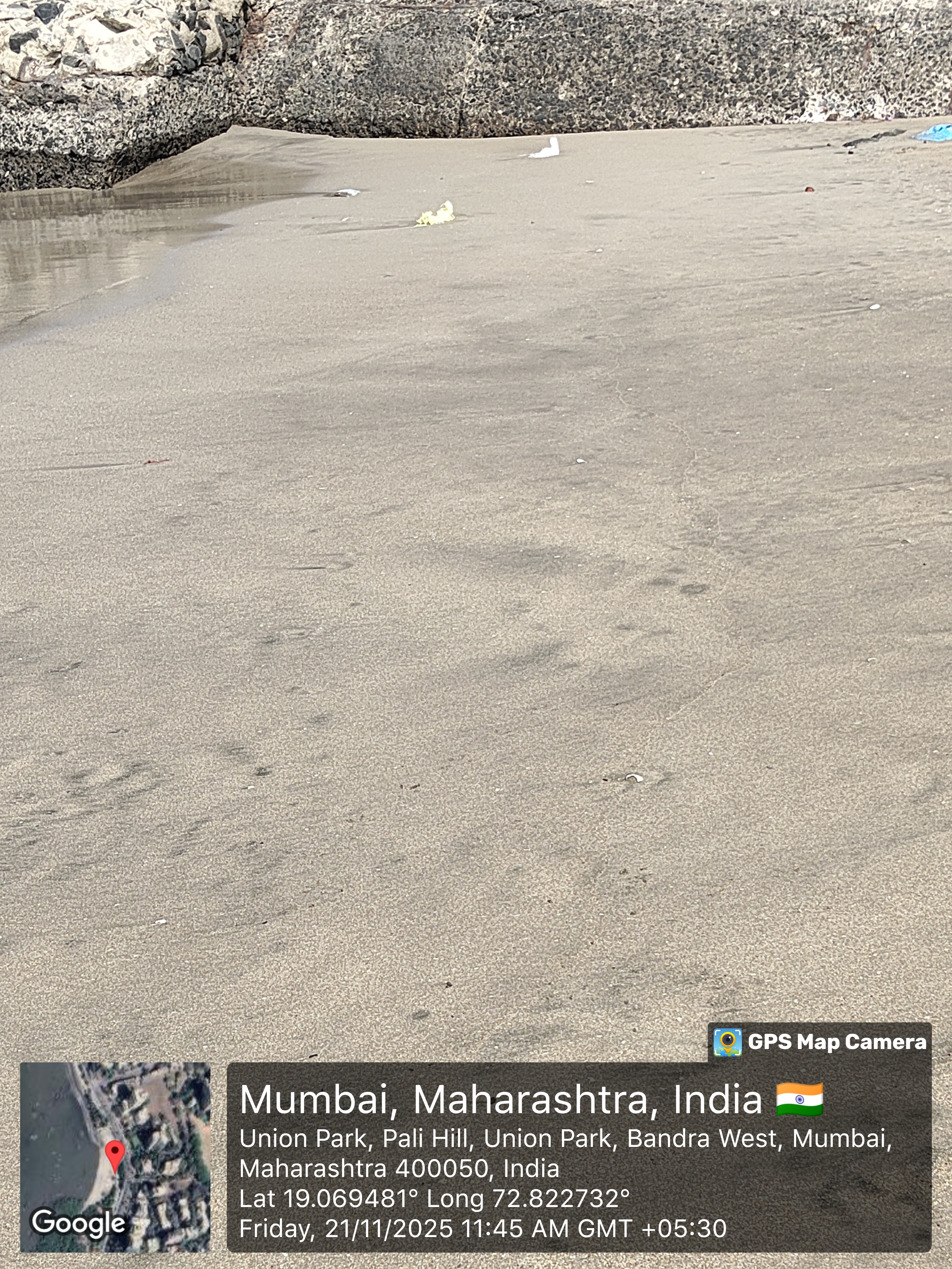 Beach Cleanup Photo 65