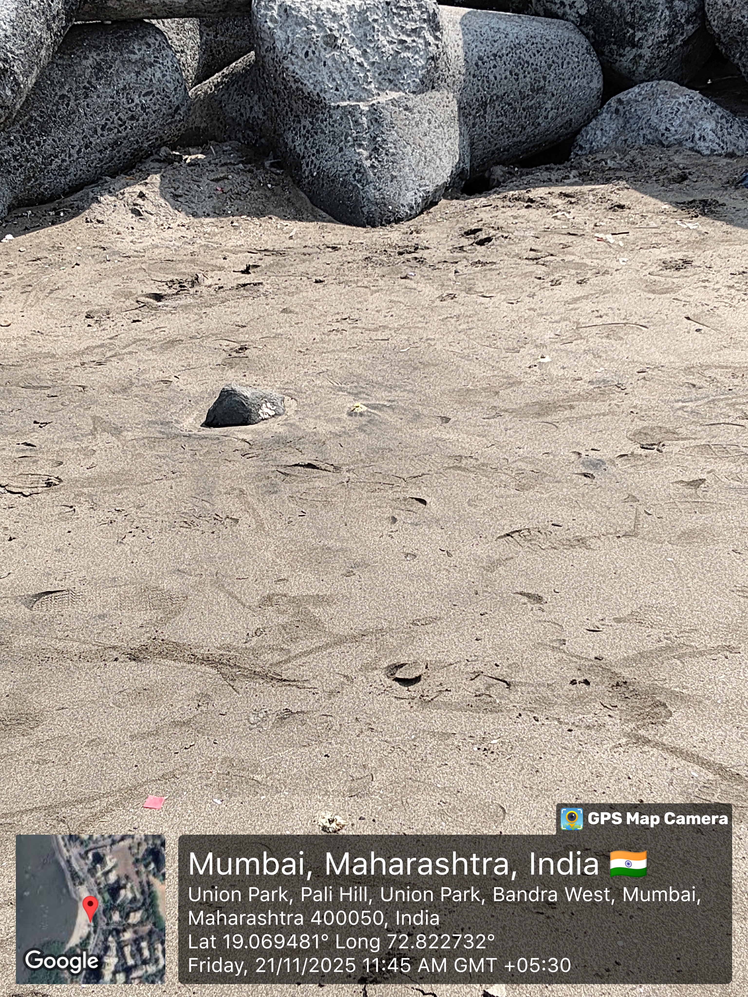 Beach Cleanup Photo 66