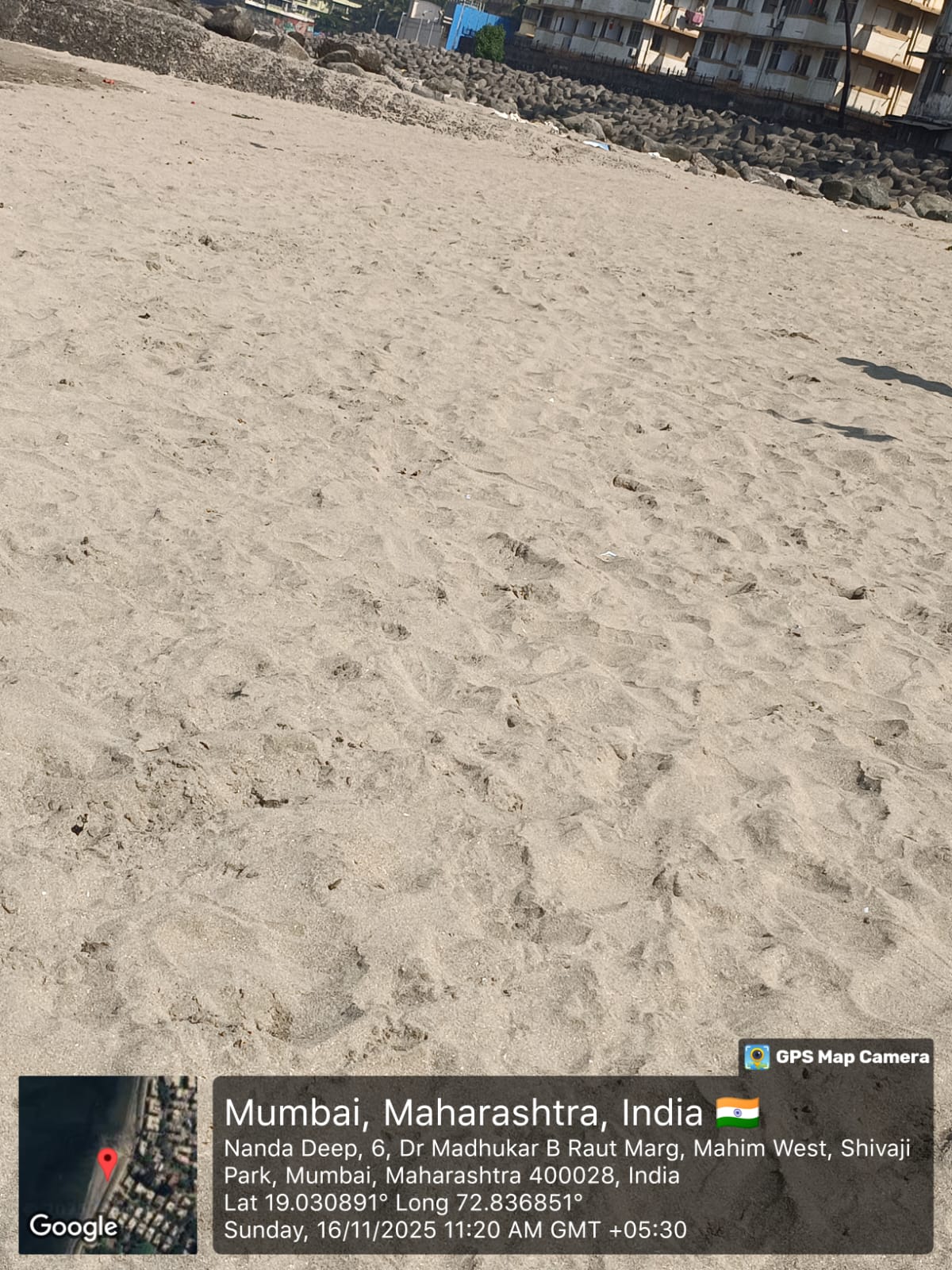Beach Cleanup Photo 67