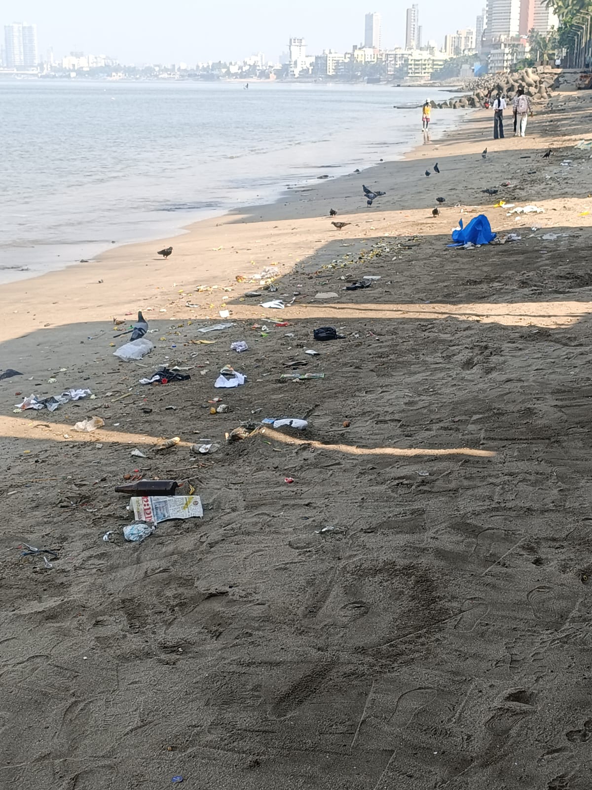 Beach Cleanup Photo 75