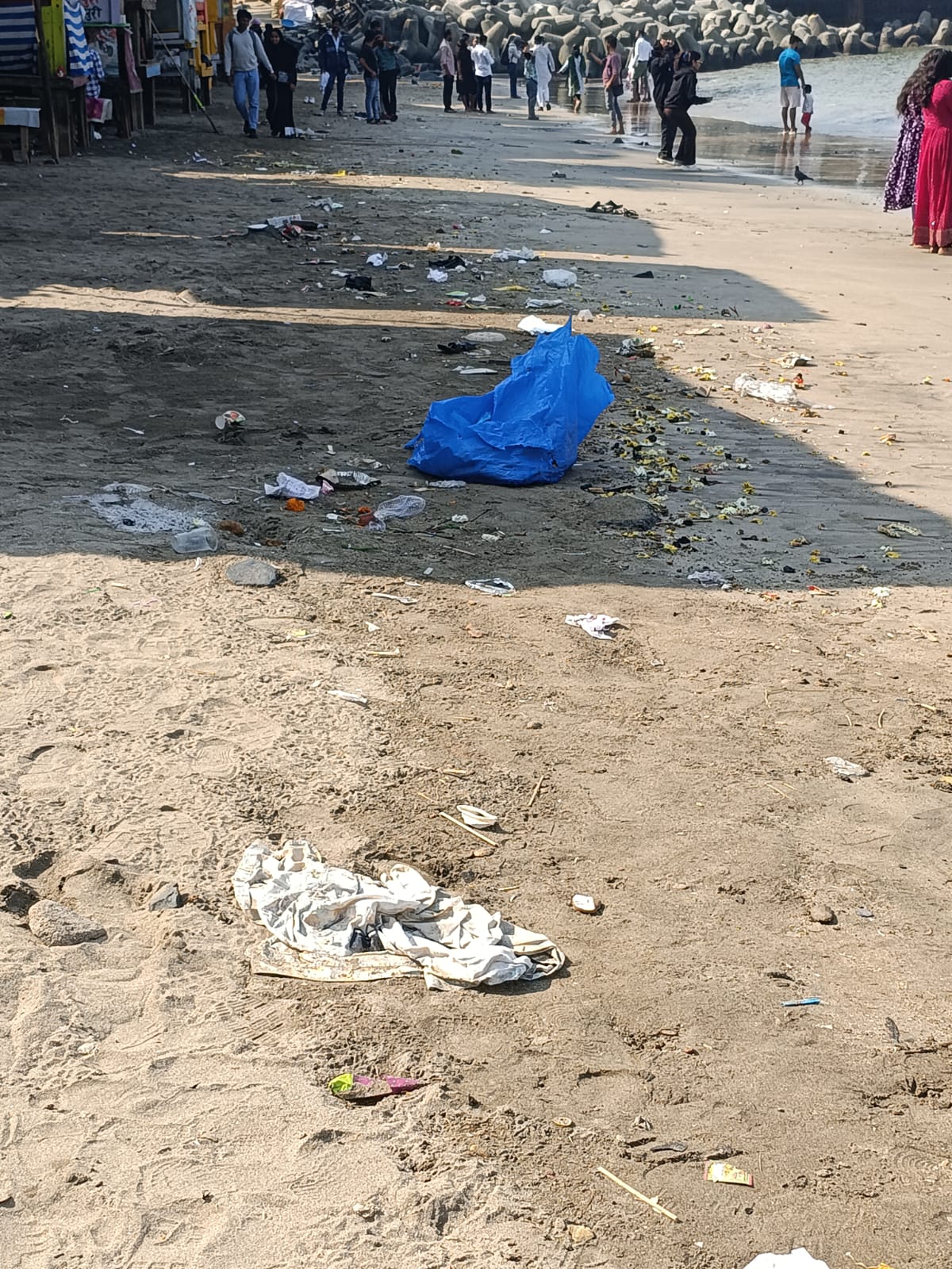 Beach Cleanup Photo 76