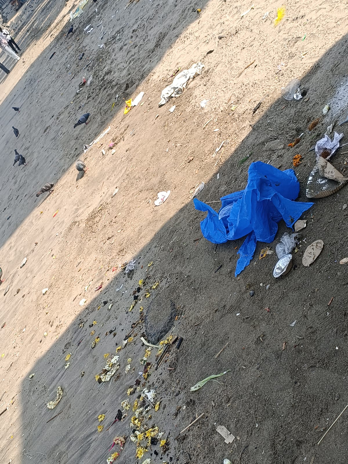Beach Cleanup Photo 77