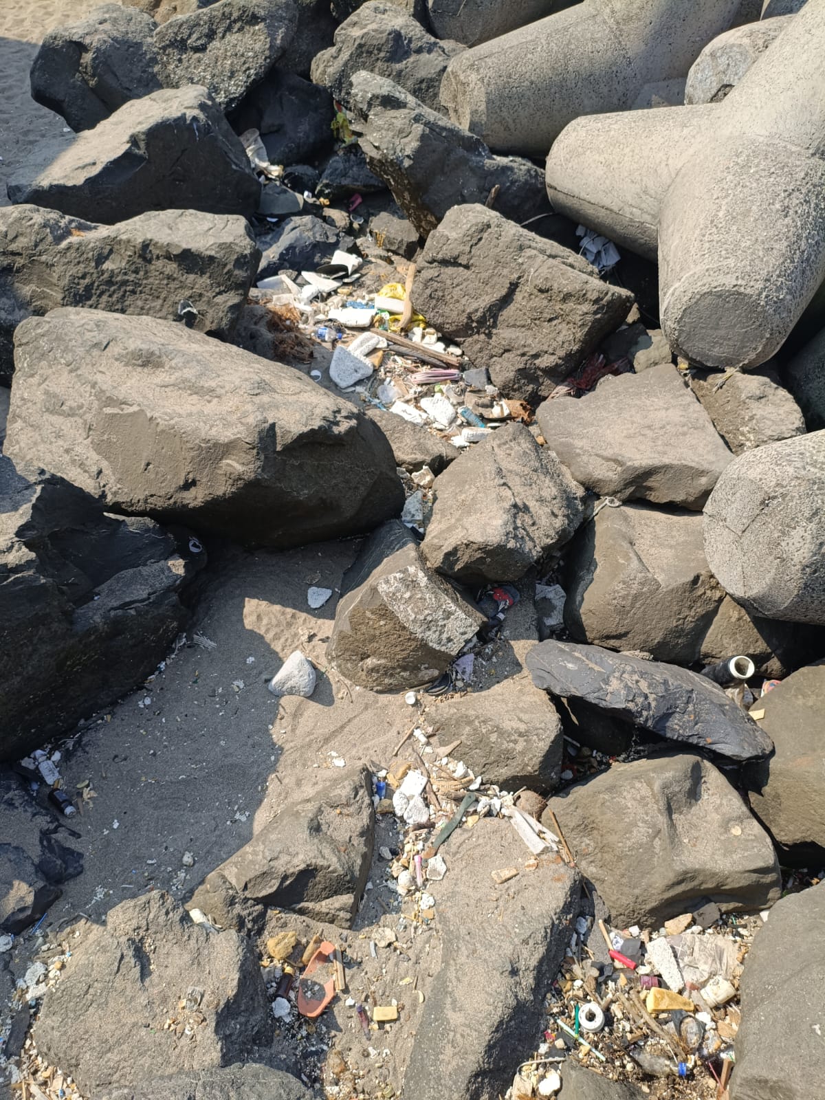 Beach Cleanup Photo 79