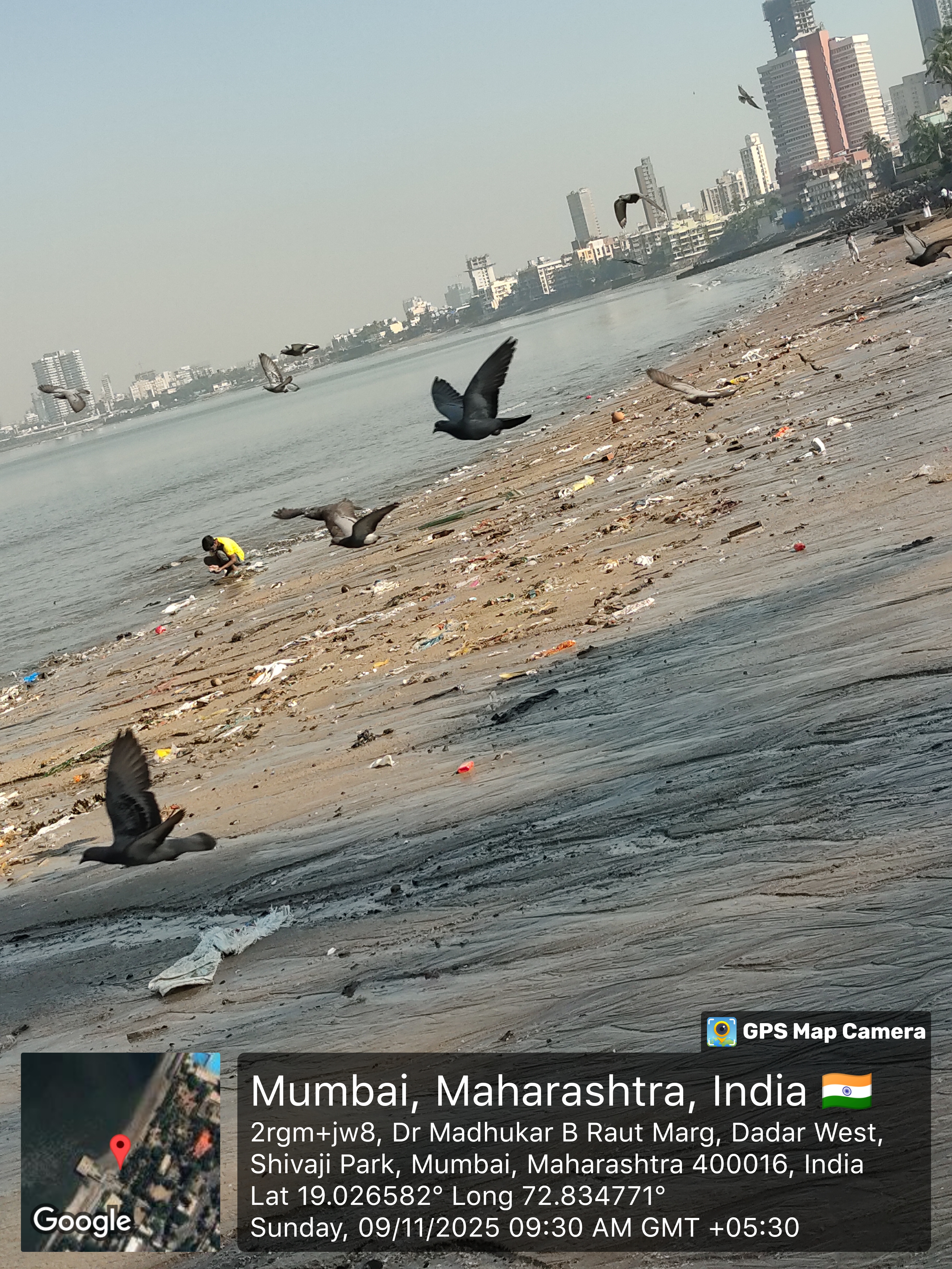 Beach Cleanup Photo 3