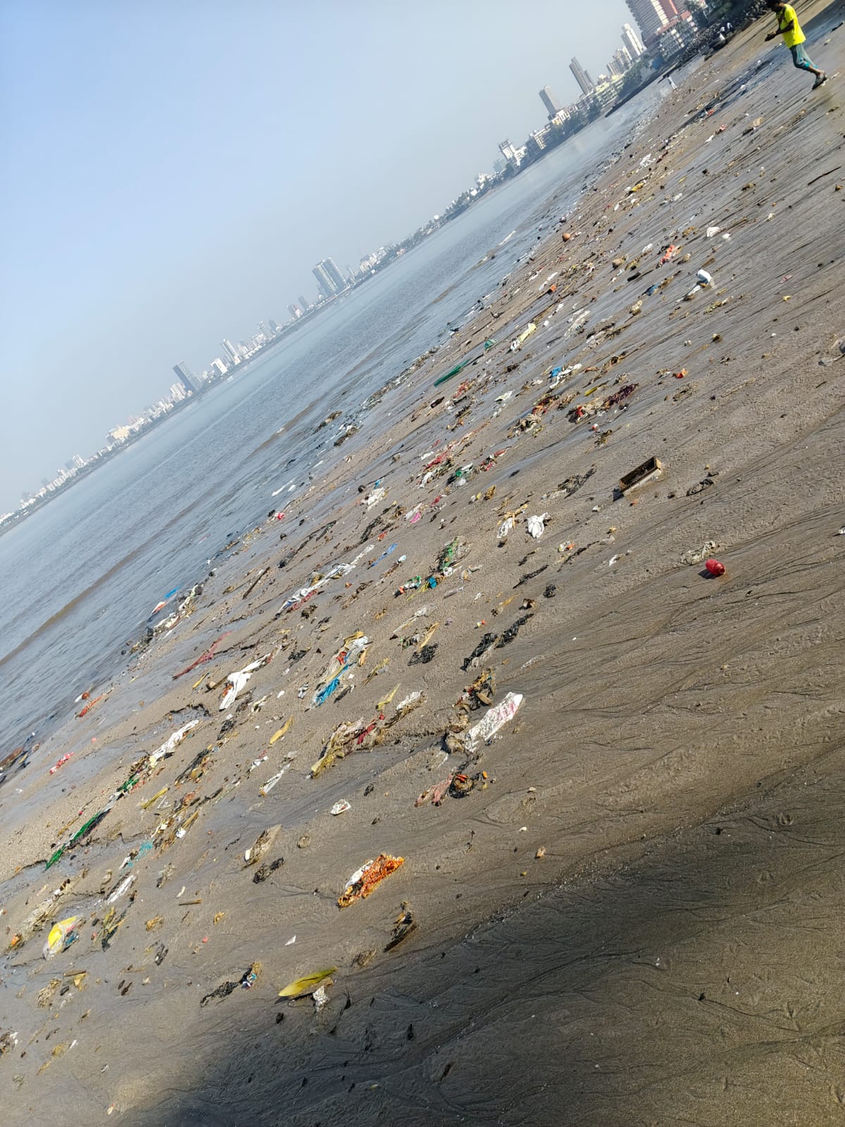 Beach Cleanup Photo 59