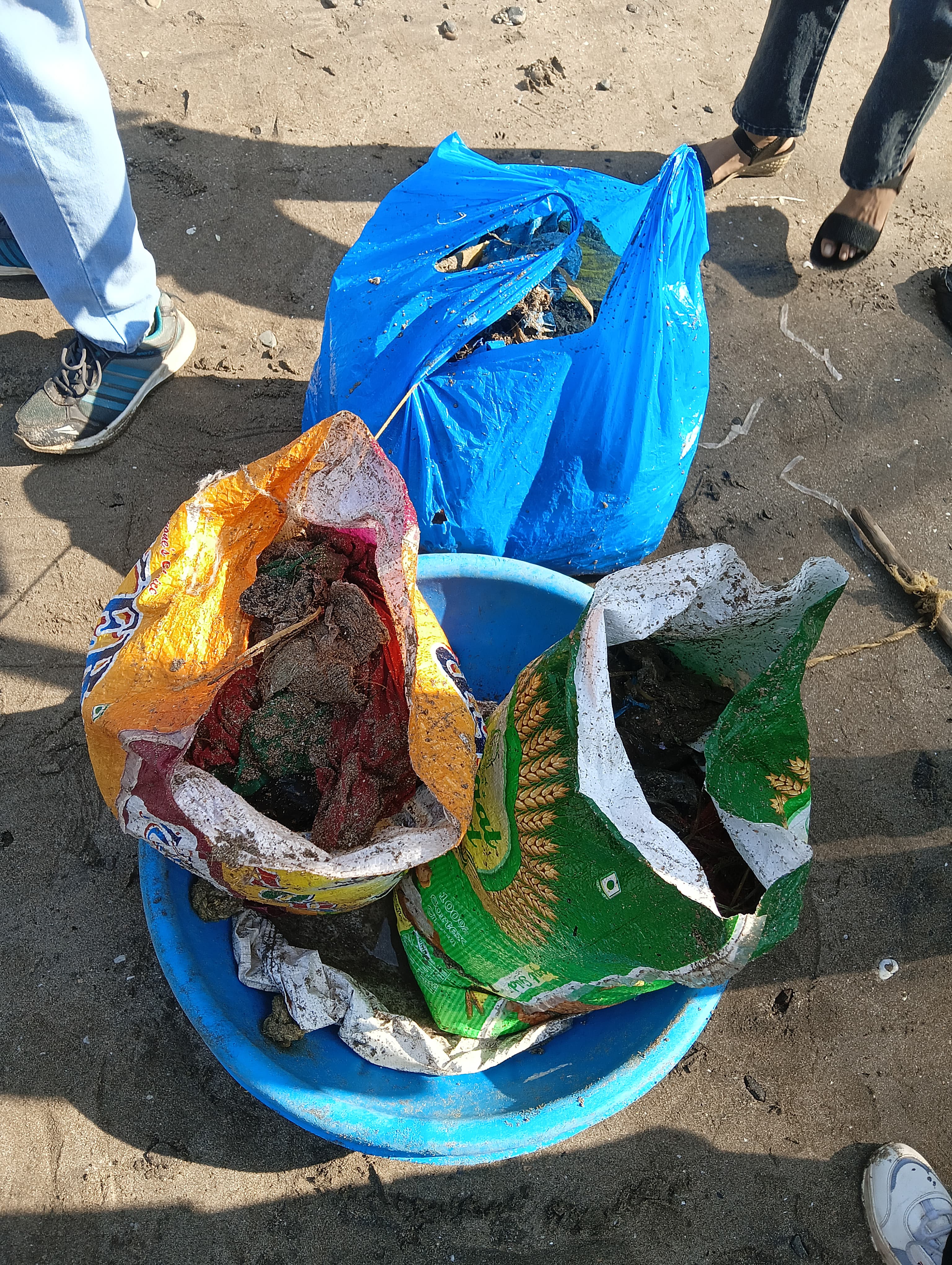 Beach Cleanup Photo 60