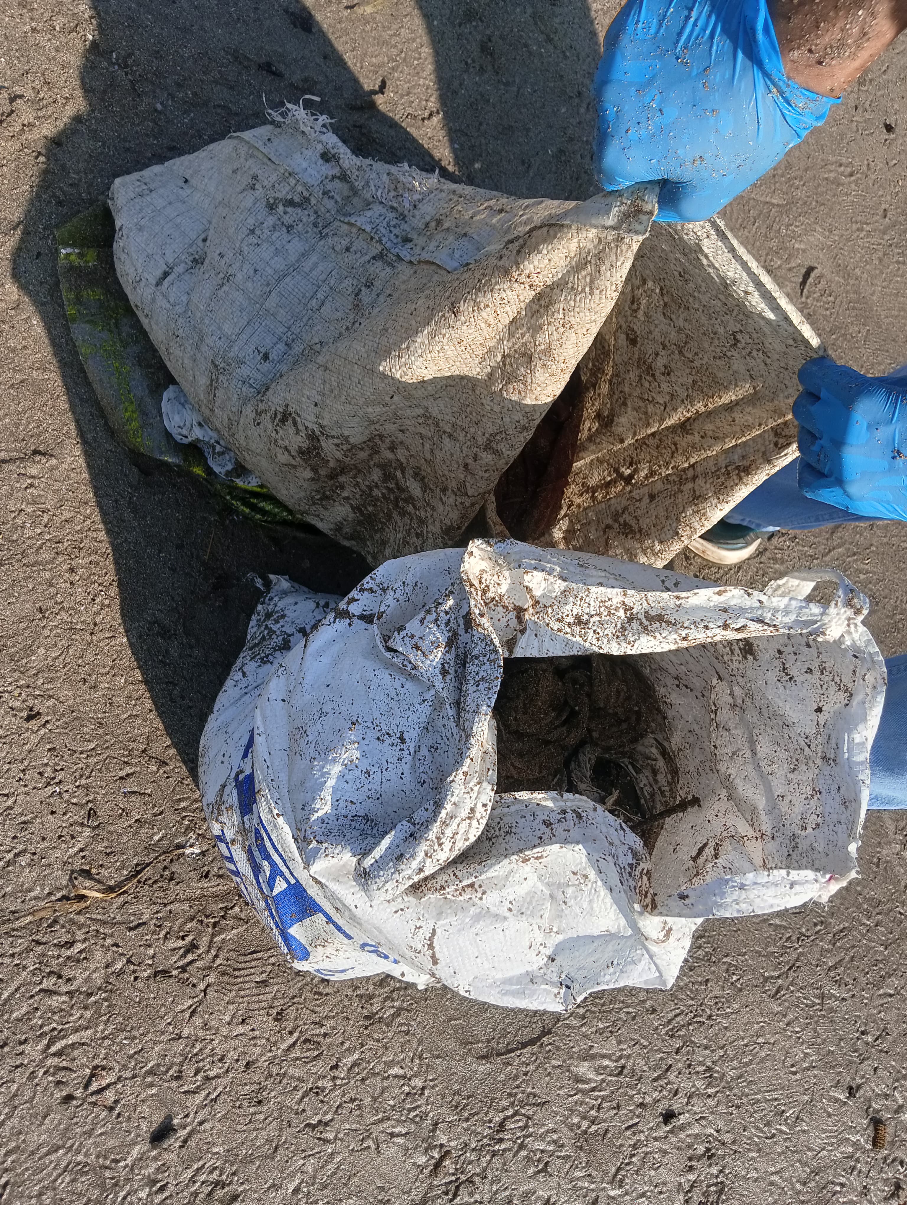 Beach Cleanup Photo 61